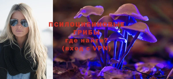 прущий лед Аркадак