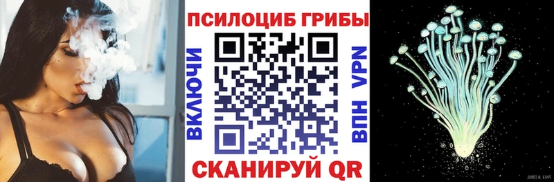 Галлюциногенные грибы GOLDEN TEACHER Купить Верхняя Тура